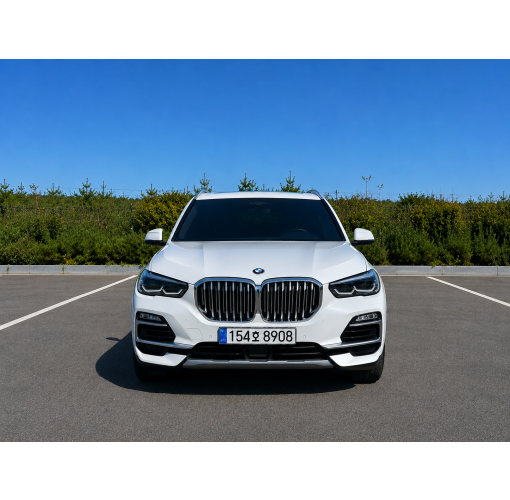 21년식 Bmw x5 30d