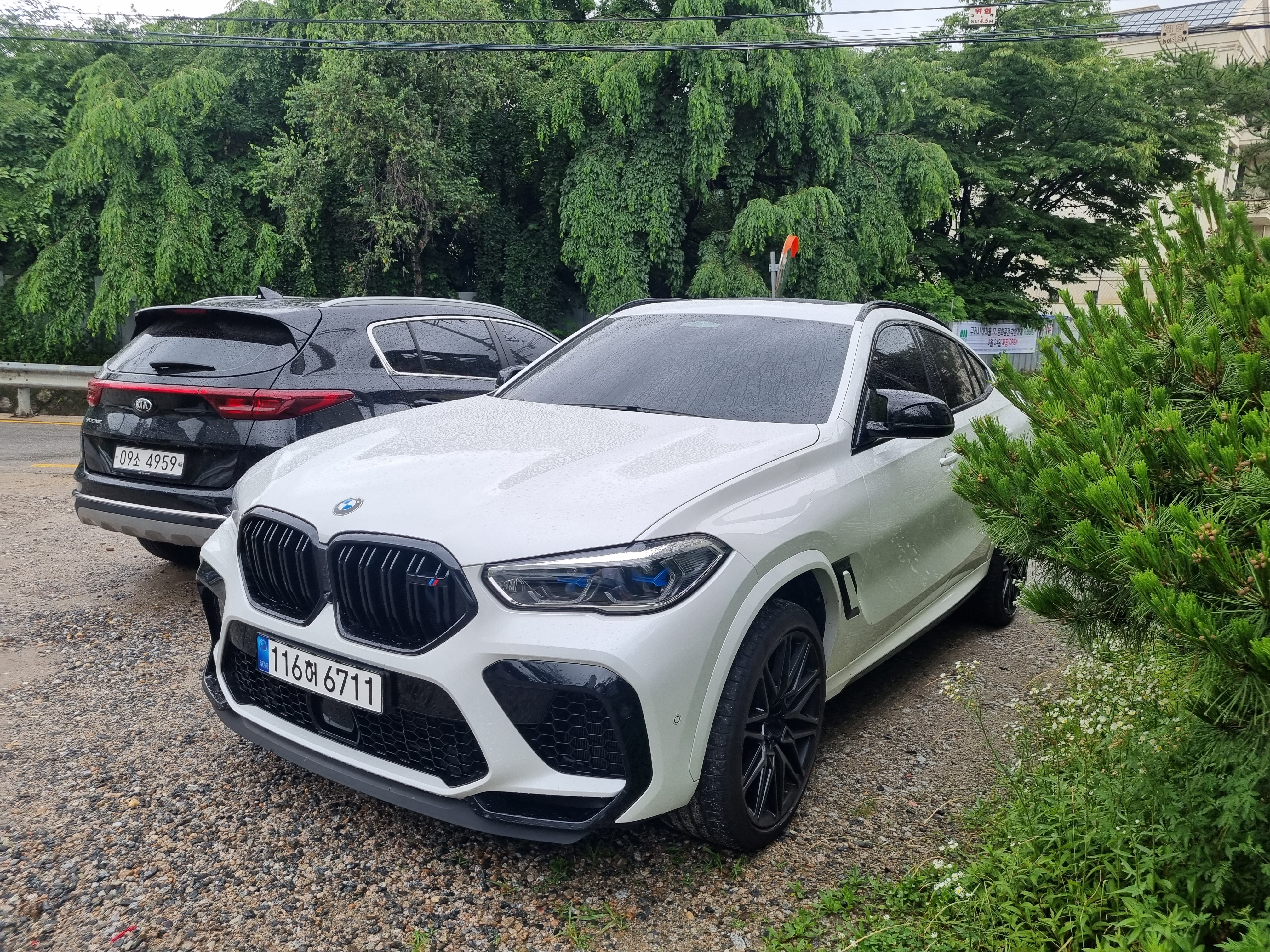 23년식 Bmw x6m