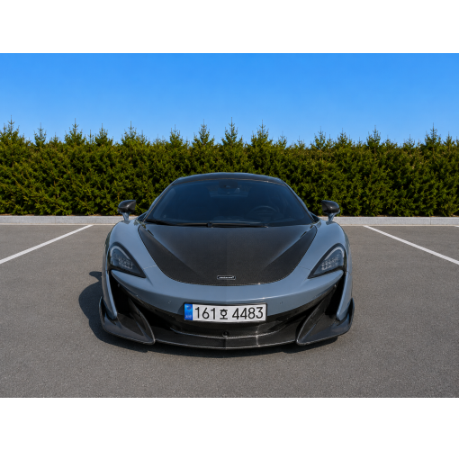 22년식 맥라렌 600lt