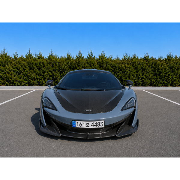22년식 맥라렌 600lt