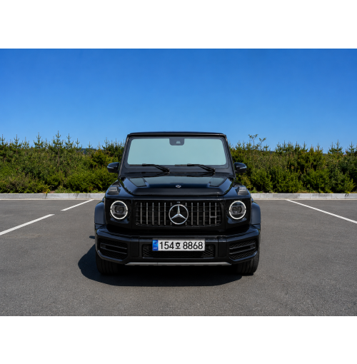 21년식 벤츠 G63 AMG (월렌트)
