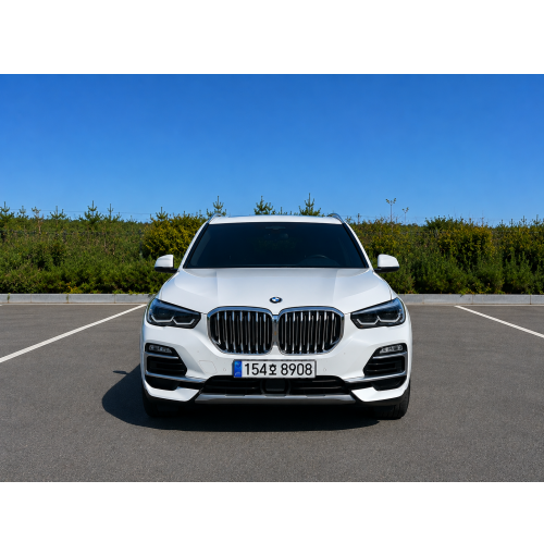 21년식 BMW X5 30d (월렌트)