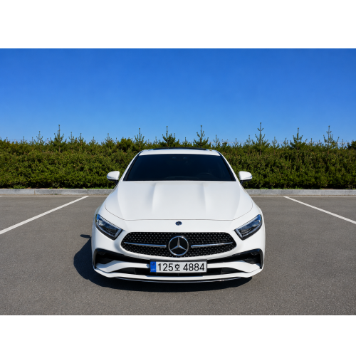 22년식 벤츠 CLS 300d (월렌트)