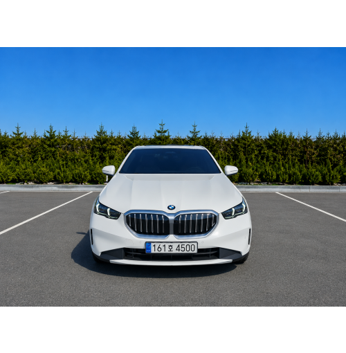 25년식 BMW 520i (월렌트)